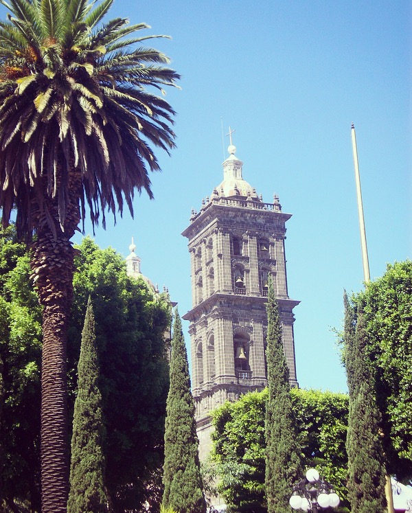 view of Catedral Basílica de Puebla through the trees