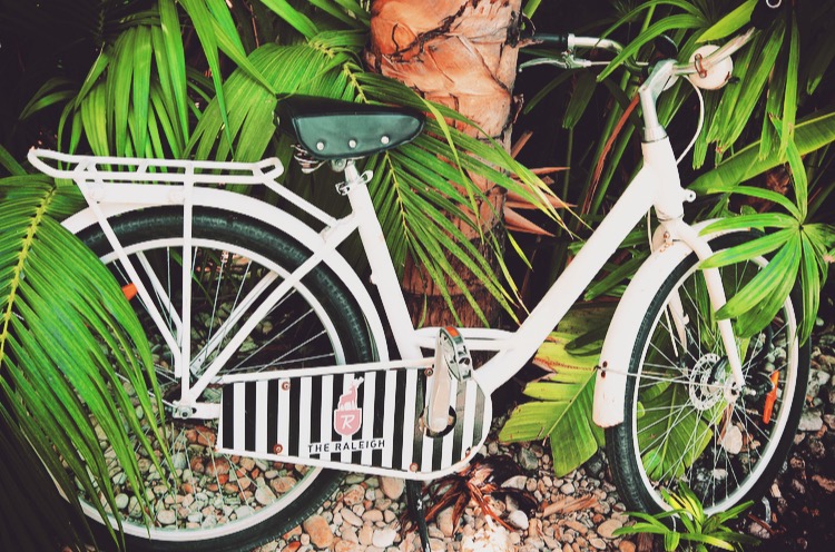 The Raleigh Hotel, Miami Beach vintage bicycle