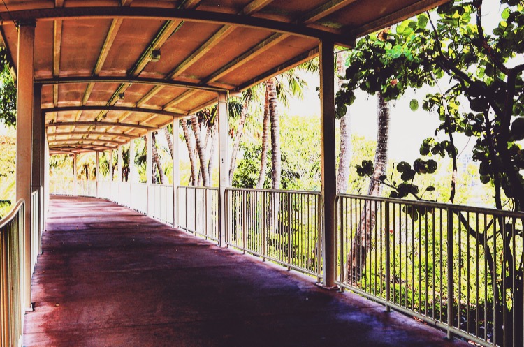 covered walkway at Jungle Island zoological park, Miami, Florida
