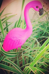 pink flamingo plastic lawn ornament