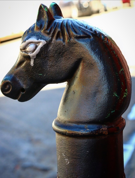 horse head hitching post, French Quarter, New Orleans