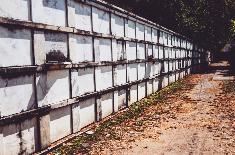 New Orleans cemetery wall vaults