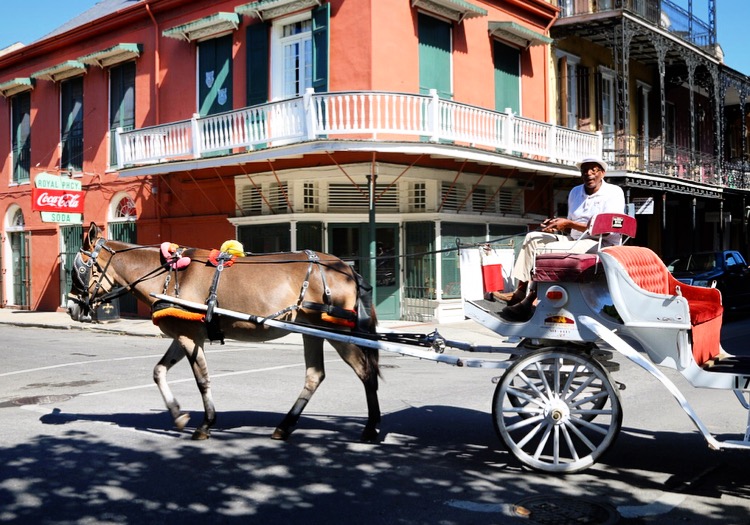 New Orleans horse & carriage tours