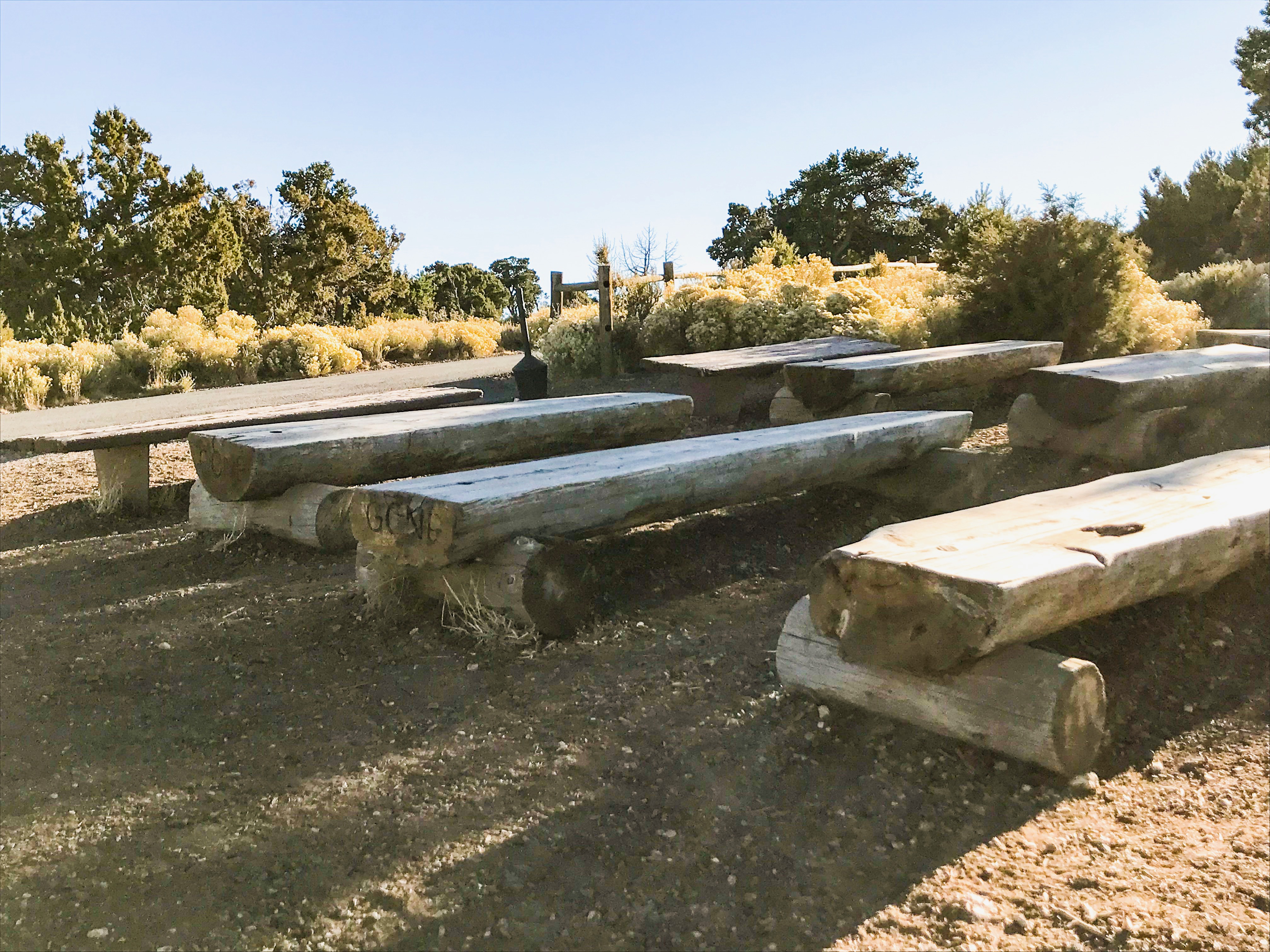 Log seating for a view of Grand Canyon