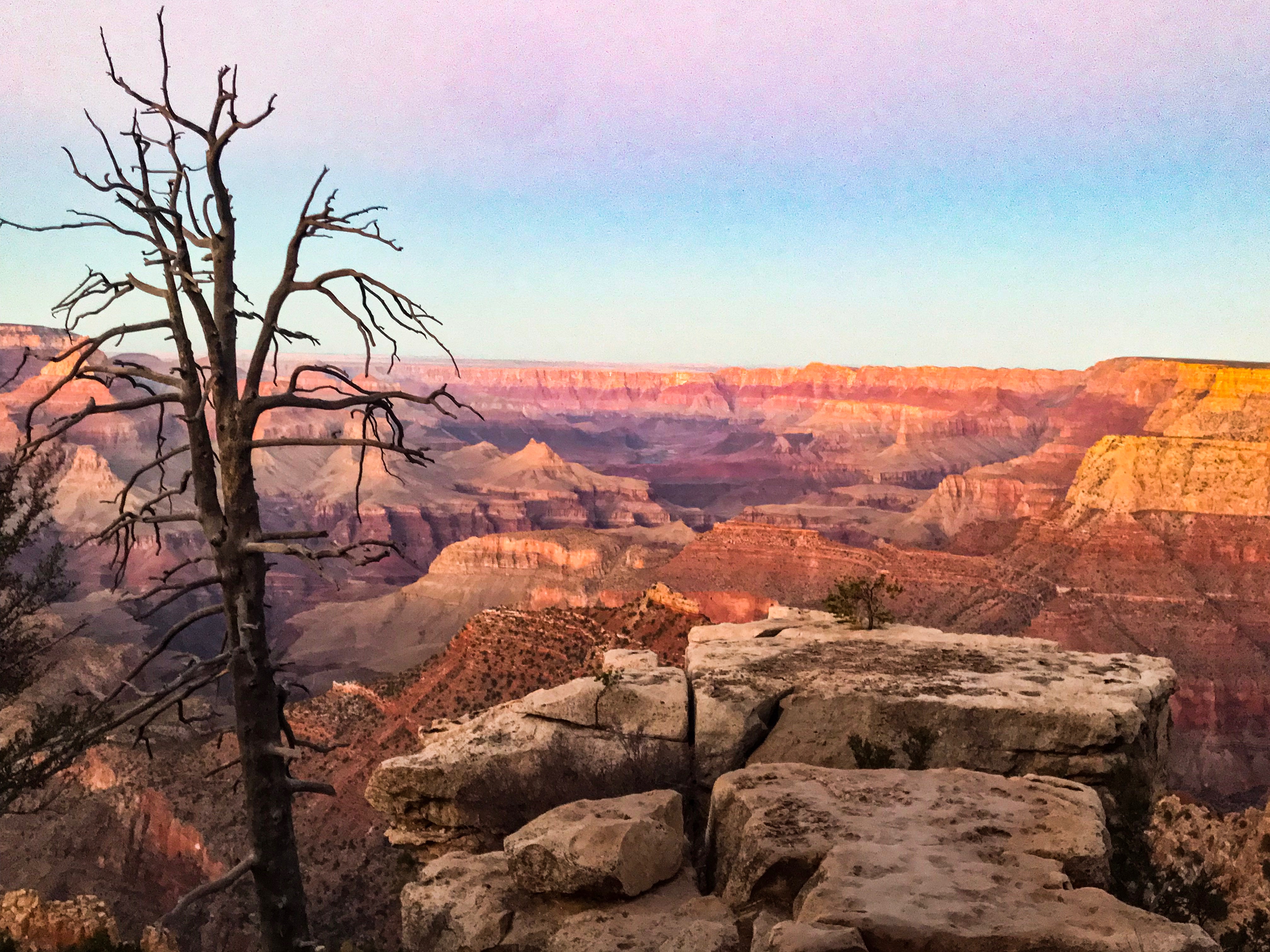 Cotton candy colored skies of the Grand Canyon at Sunset
