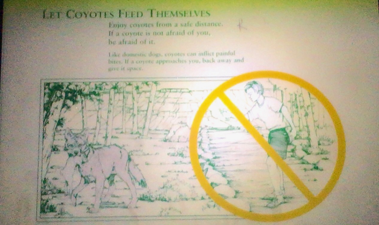 Grand Canyon warning sign: Let the Coyotes Feed Themselves