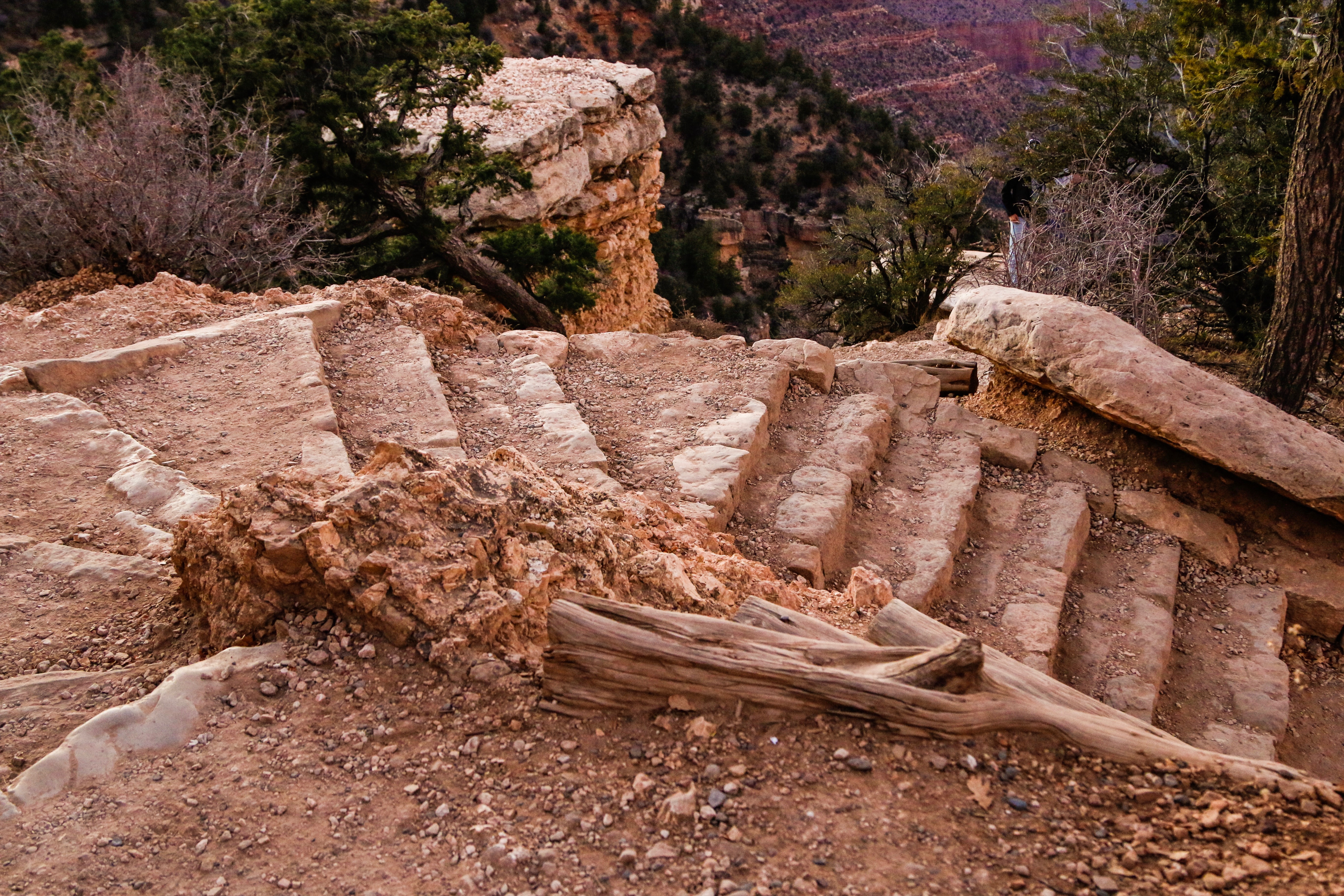 Trail steps at the Grand Canyon