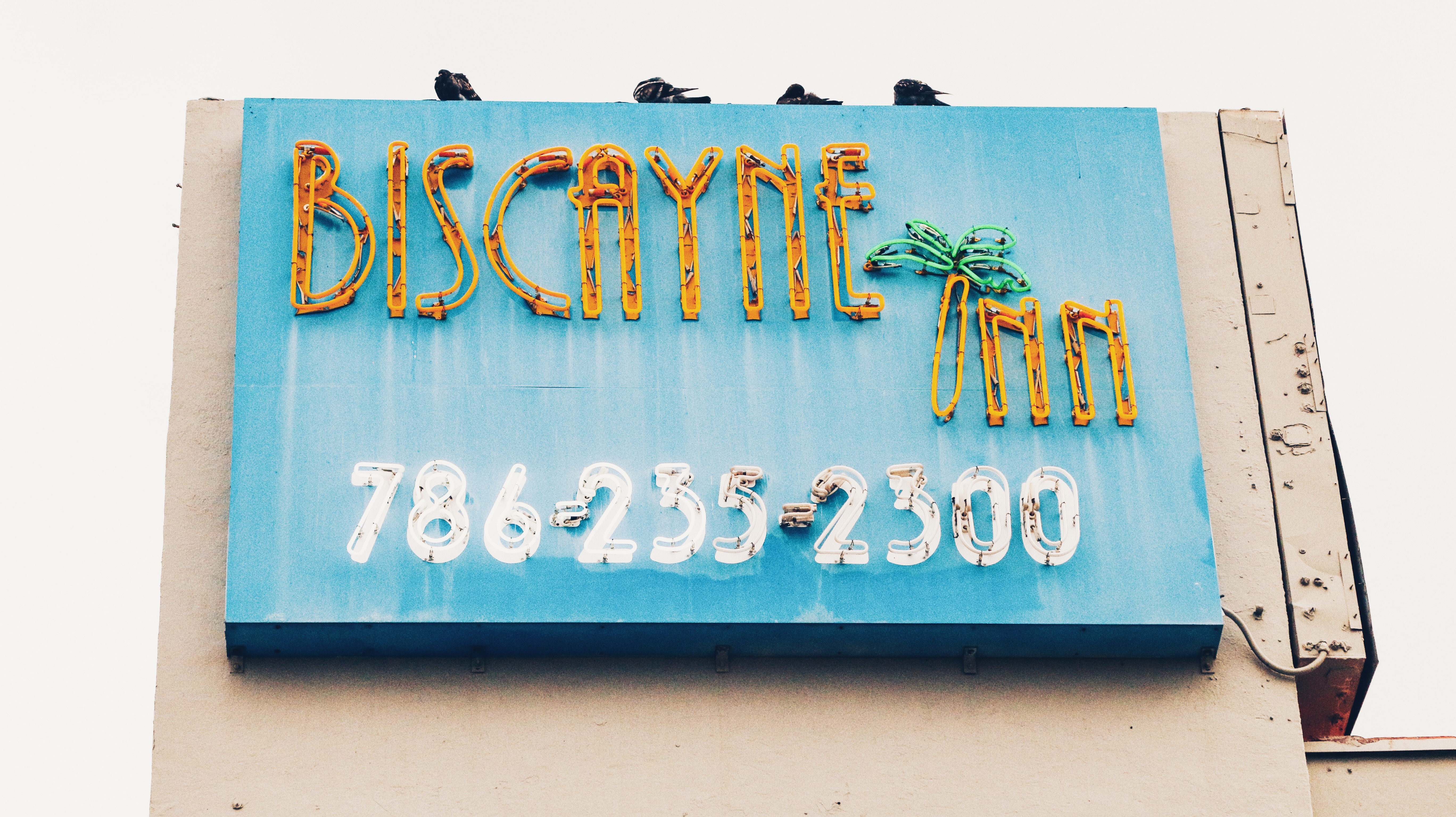 Retro Neon Biscayne Inn sign in MiMo Historic District, Biscayne Boulevard, Miami, Florida