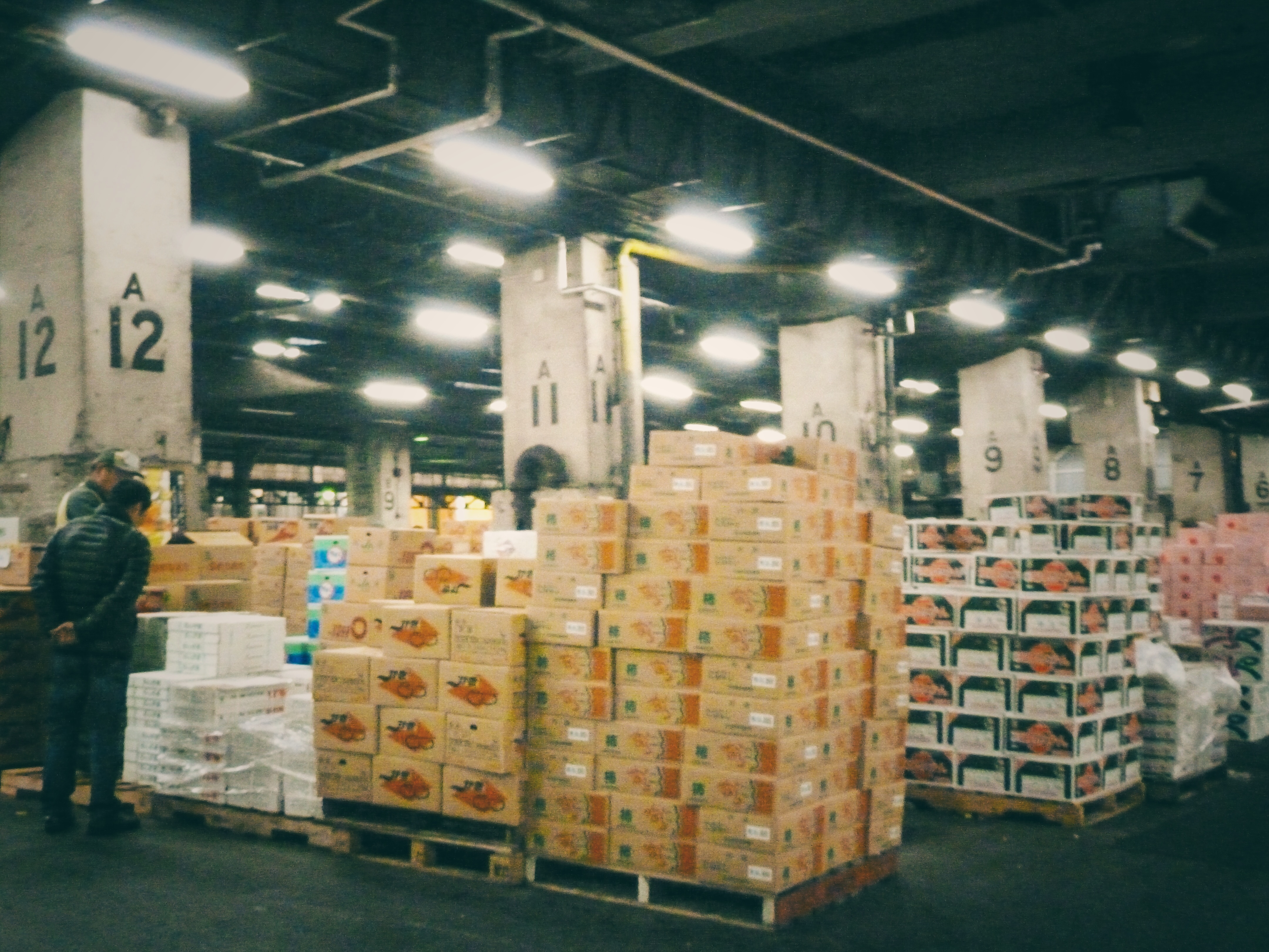 Tsukiji Fish Market, Tokyo, Japan nostalgia - boxes and rows inside market
