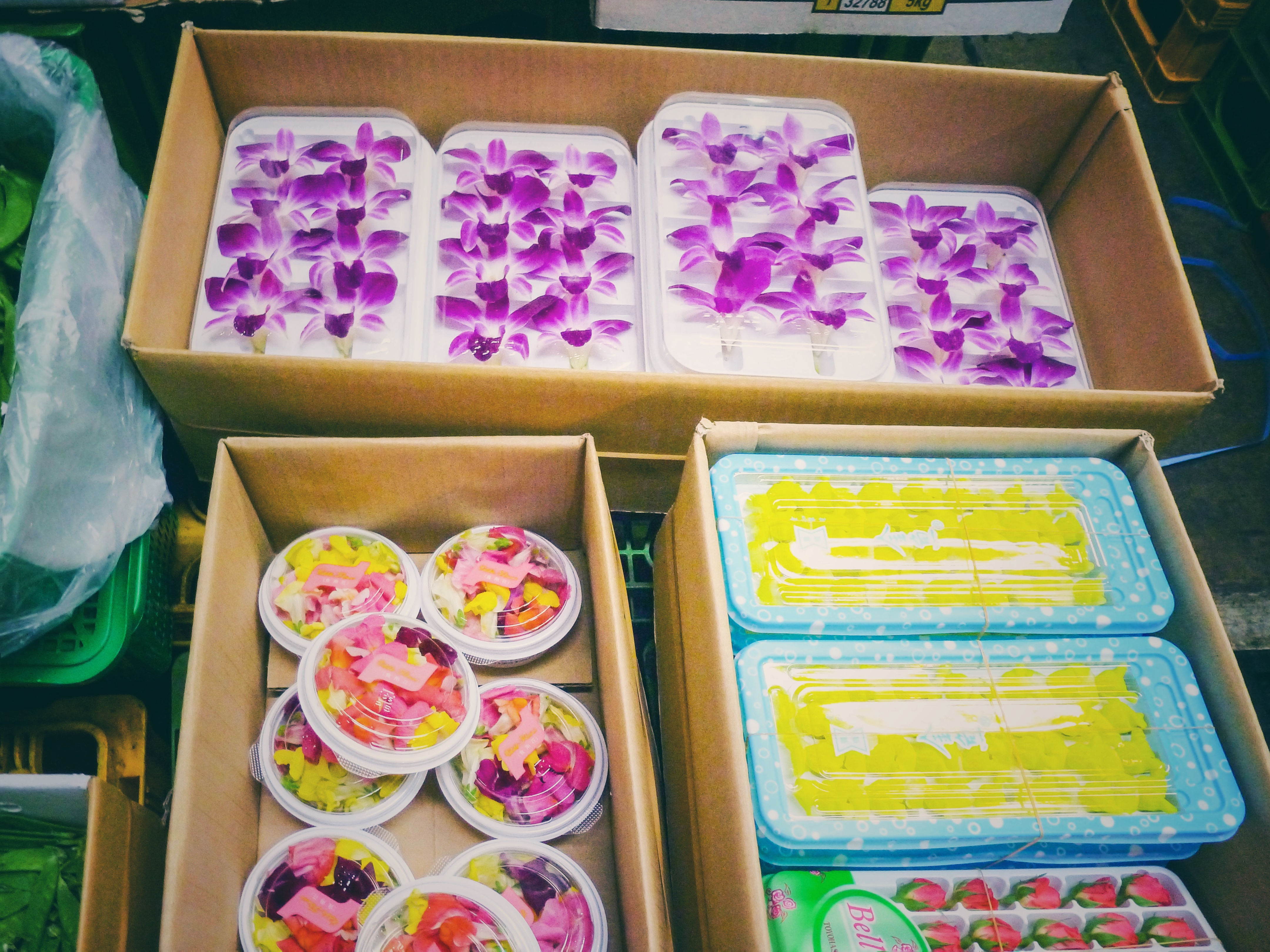 Tsukiji Fish Market, Tokyo, Japan nostalgia flowers