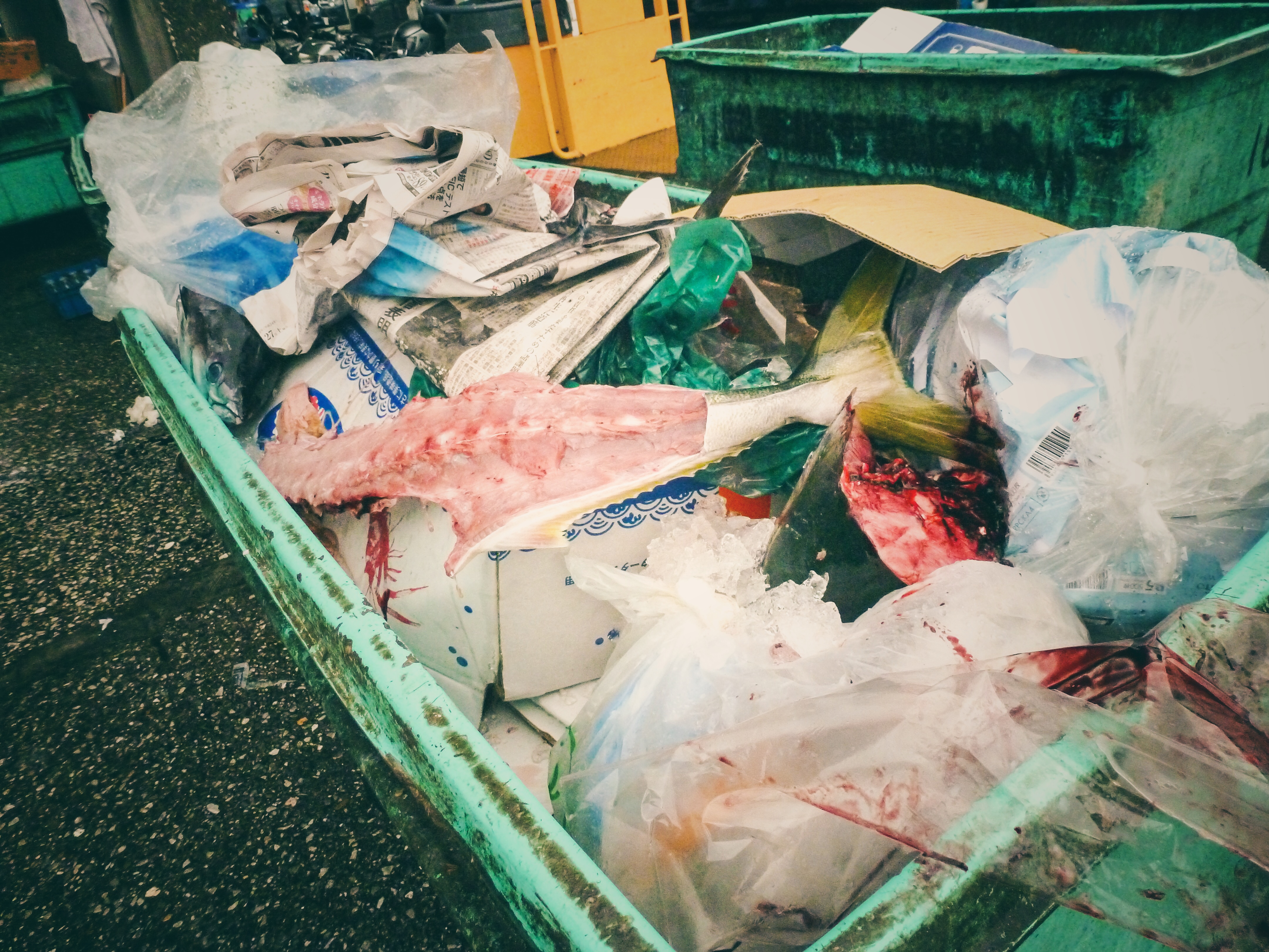 Tsukiji Fish Market, Tokyo, Japan nostalgia bloody fish bones & guts in the garbage