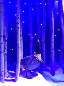 Canada Goose with Wreath around neck Lord & Taylor 2018 Holiday Window Display