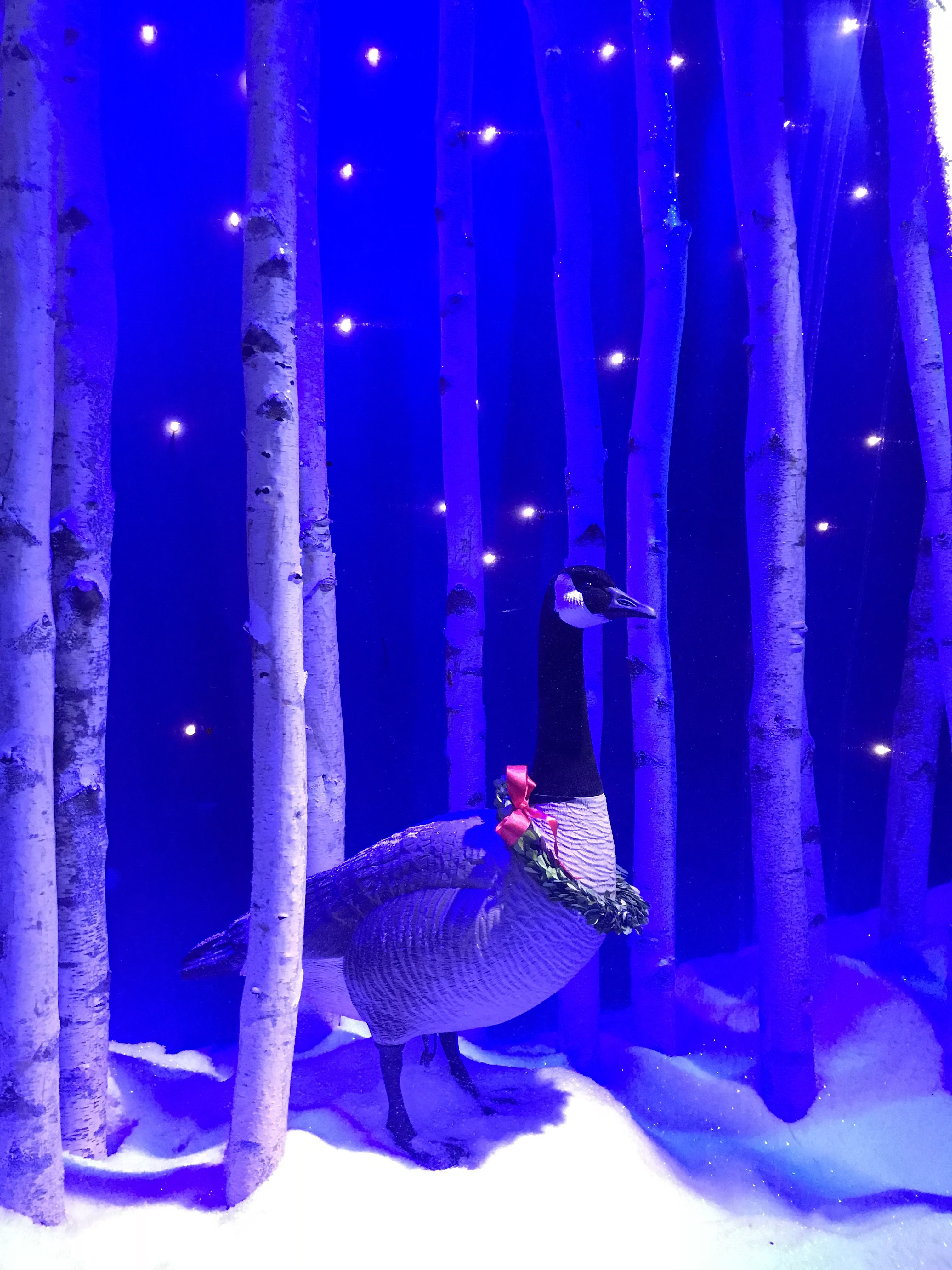 Canada Goose with Wreath around neck Lord & Taylor 2018 Holiday Window Display