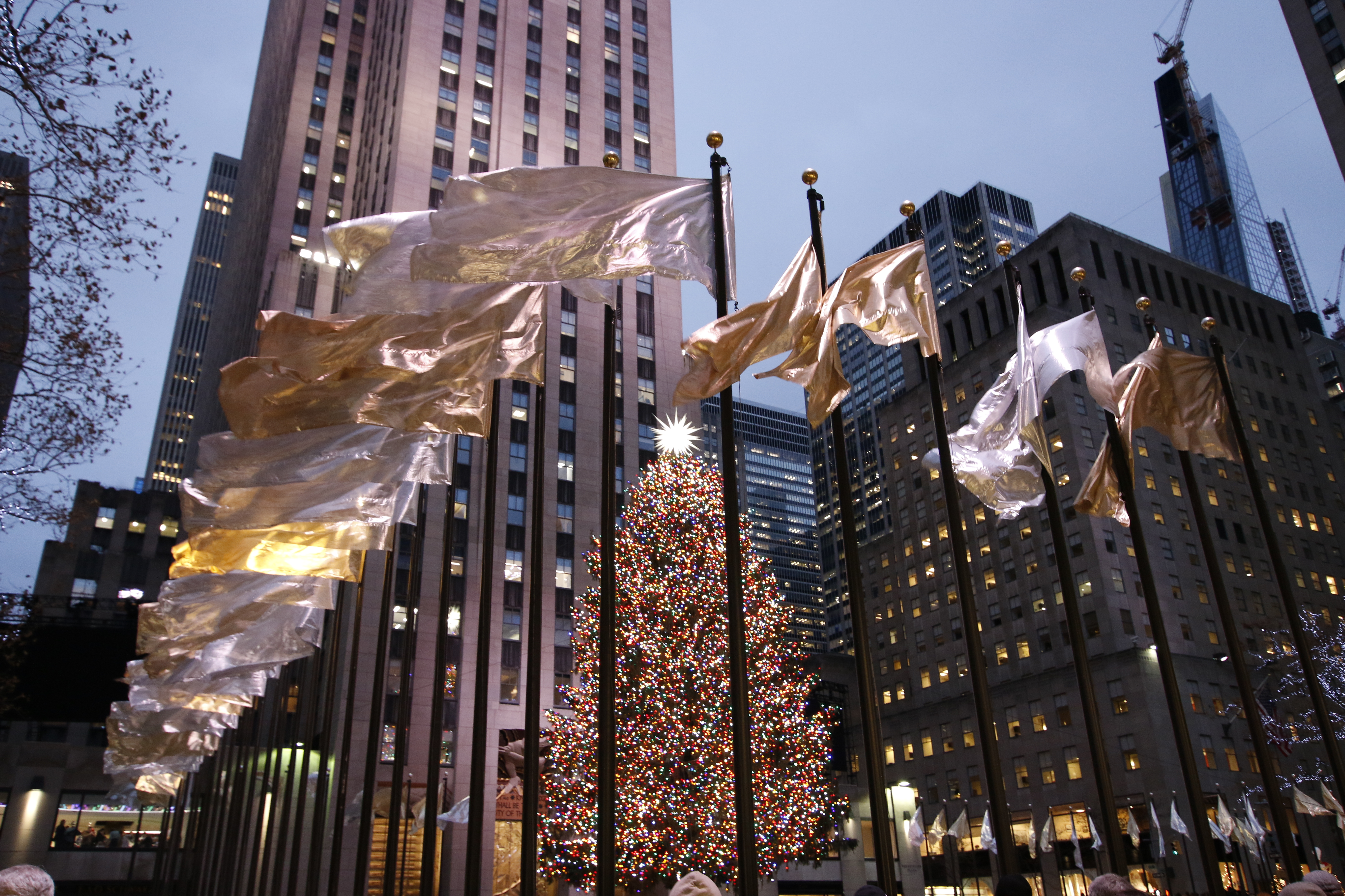 Rockefeller Center Christmas Tree