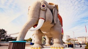 Nostalgia: Lucy the Elephant feeding