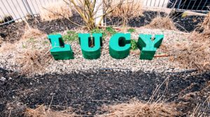Nostalgia: Lucy the Elephant lettering
