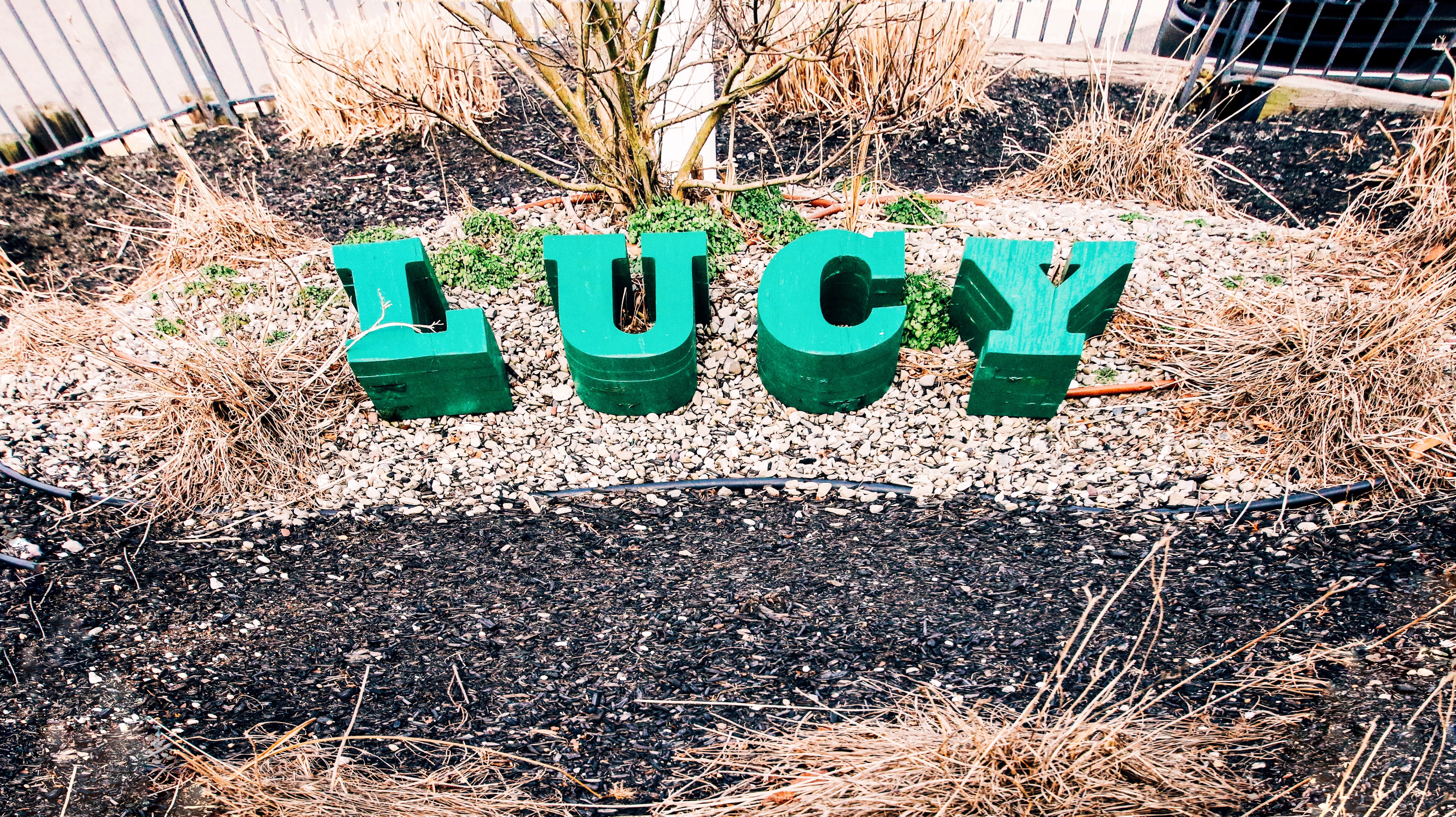 Nostalgia: Lucy the Elephant lettering
