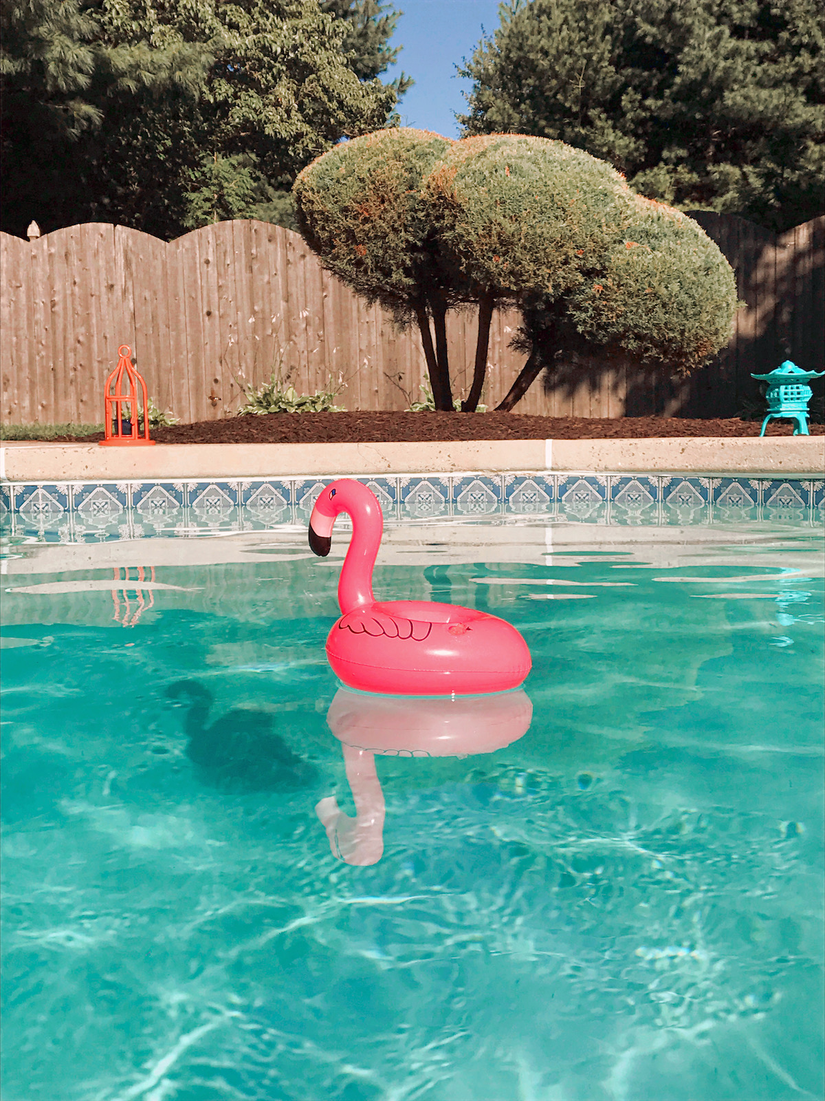 Hopeless Nostalgic home pool 2