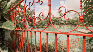 Hopeless Nostalgic. Venetian Pool ornate fence 4