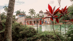 Hopeless Nostalgic. Venetian Pool plant view