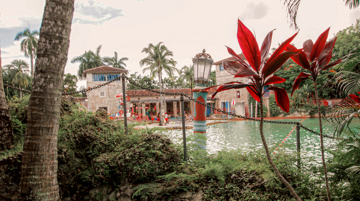 Hopeless Nostalgic. Venetian Pool plant view