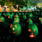 Hopeless Nostalgic Sleepy Hollow Jackolantern Blaze green pumpkins